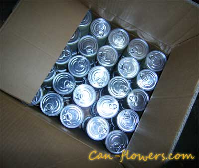 Promotional Tin Plants Packing