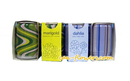 Promotional Tin Plants Packing